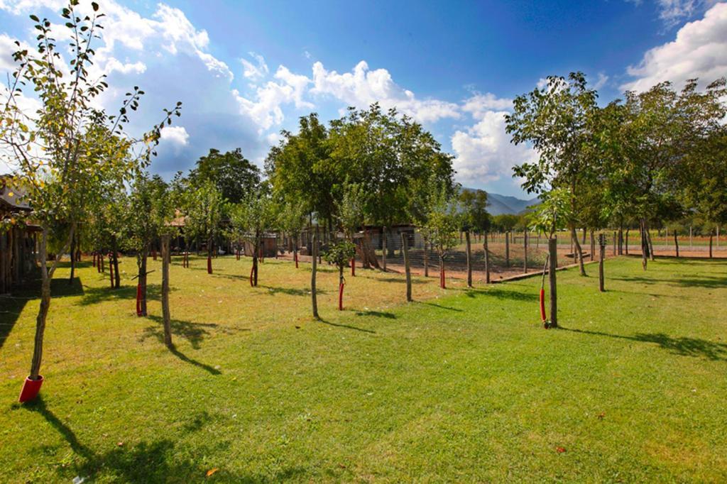 Azienda Agrituristica Pericle Montella Exterior foto