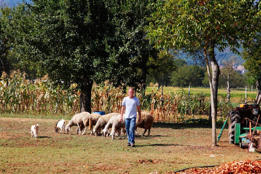 Azienda Agrituristica Pericle Montella Exterior foto